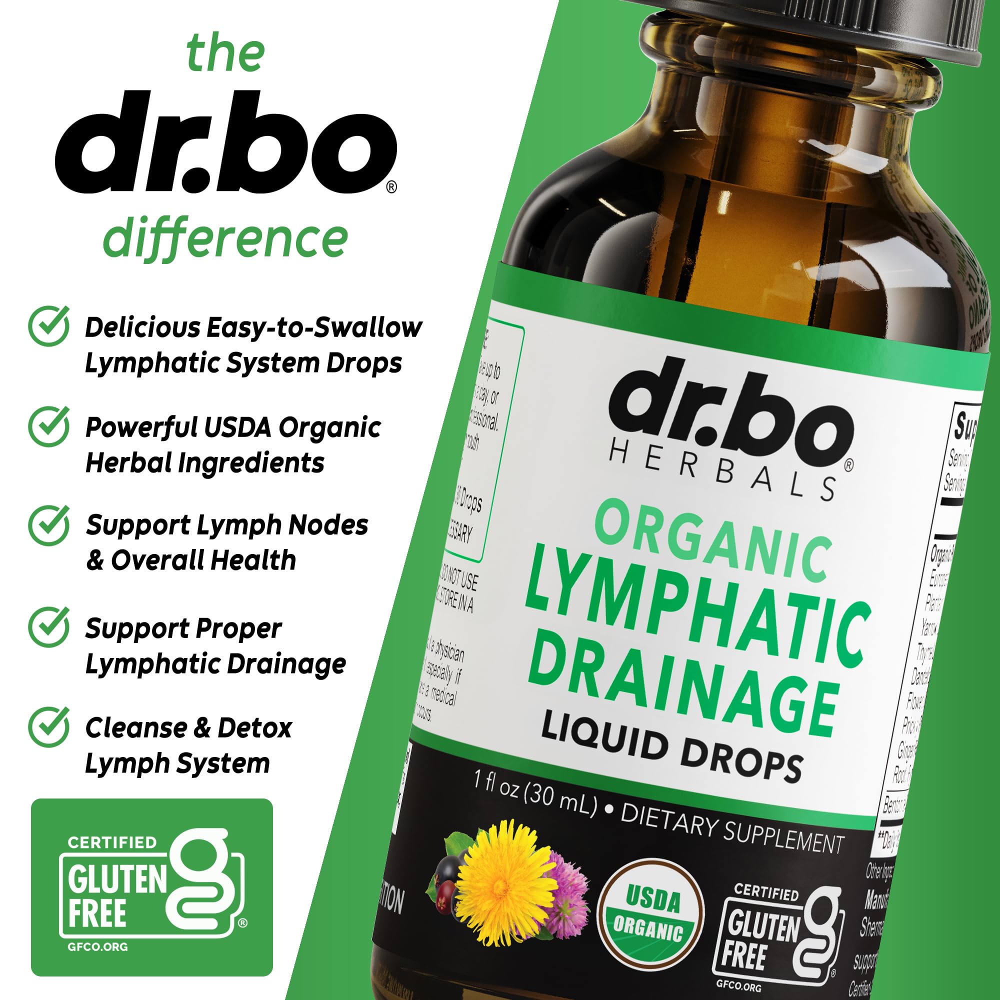 DR. BO Lymphatic Drainage Drops ingredients list features echinacea and elderberry.