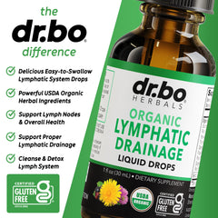 DR. BO Lymphatic Drainage Drops ingredients list features echinacea and elderberry.