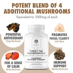 Five-mushroom capsule image highlighting the balanced immune and gut support.