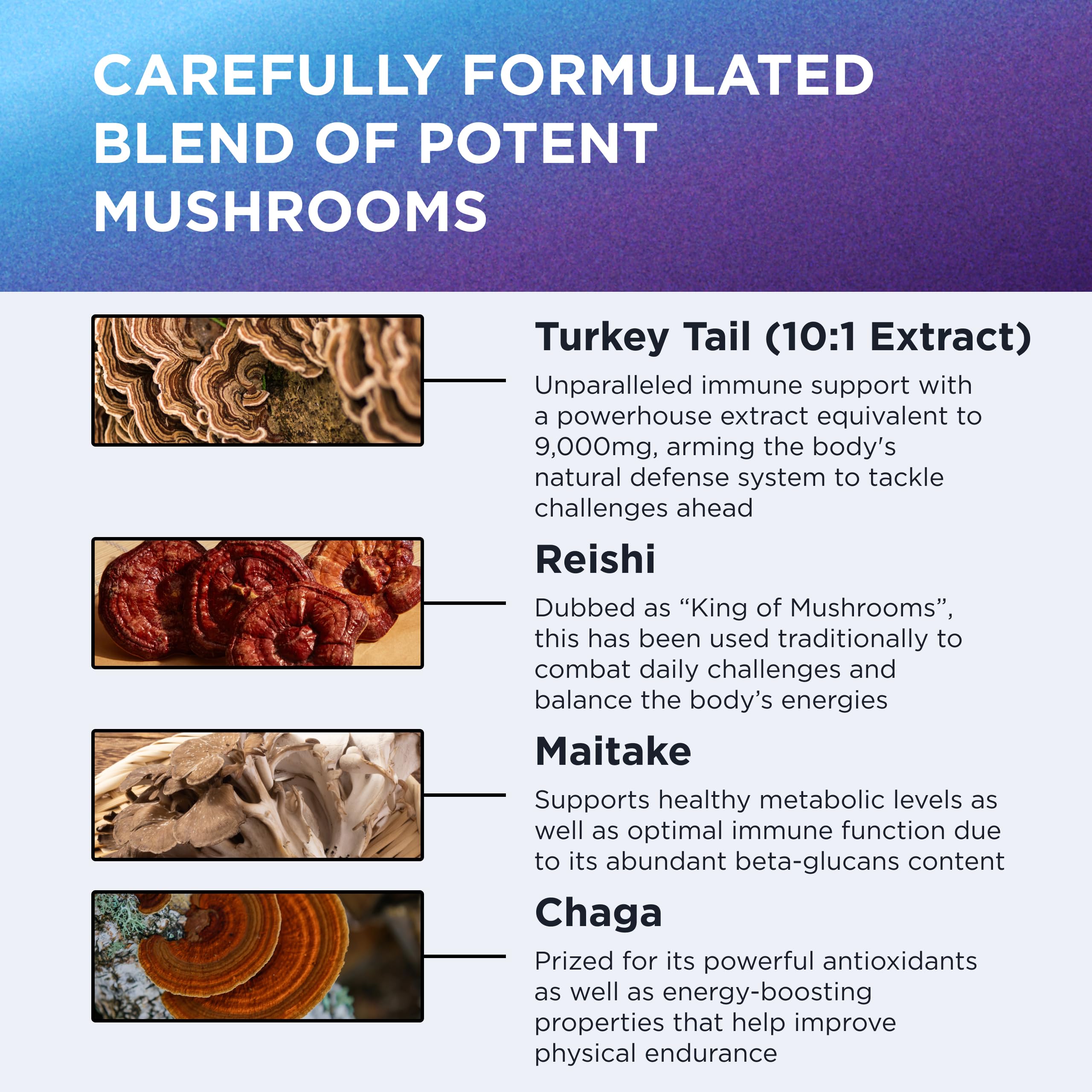 Dr. Emil Nutrition Elite Turkey Tail five-mushroom blend supports overall wellness.