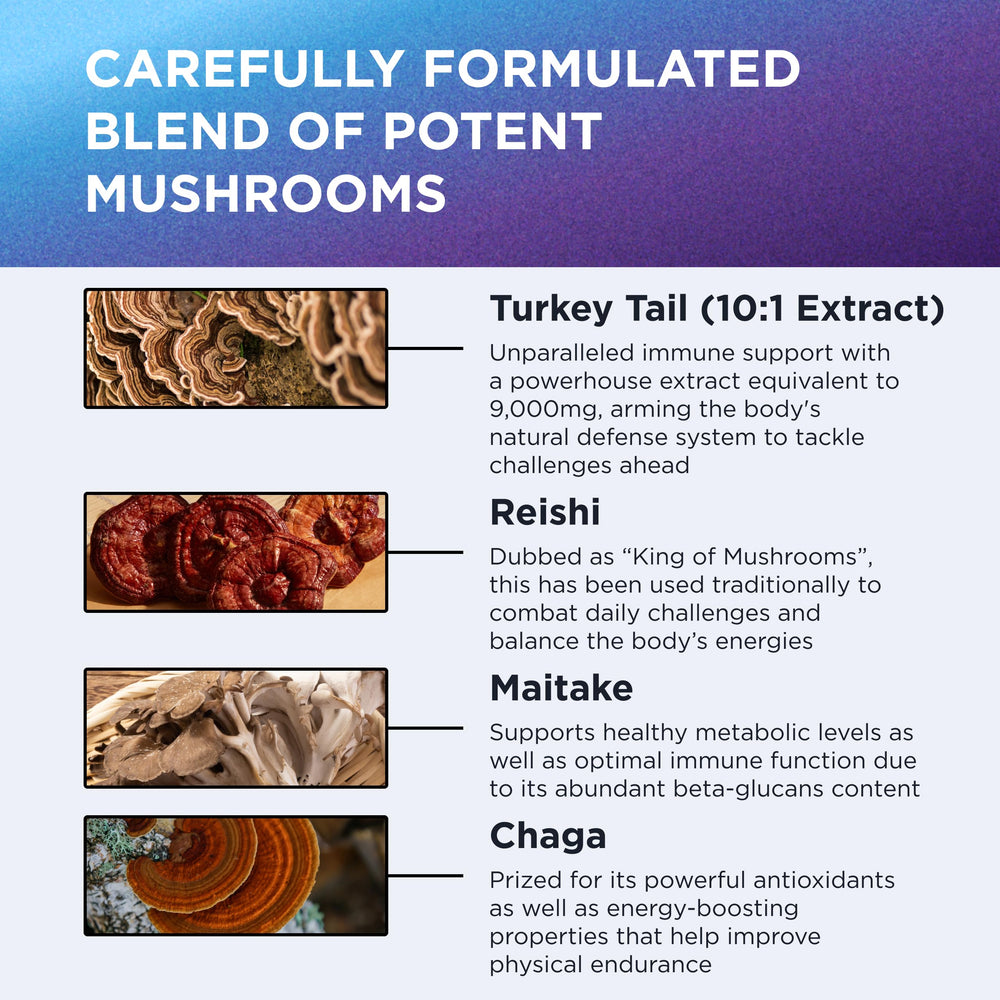 Dr. Emil Nutrition Elite Turkey Tail five-mushroom blend supports overall wellness.