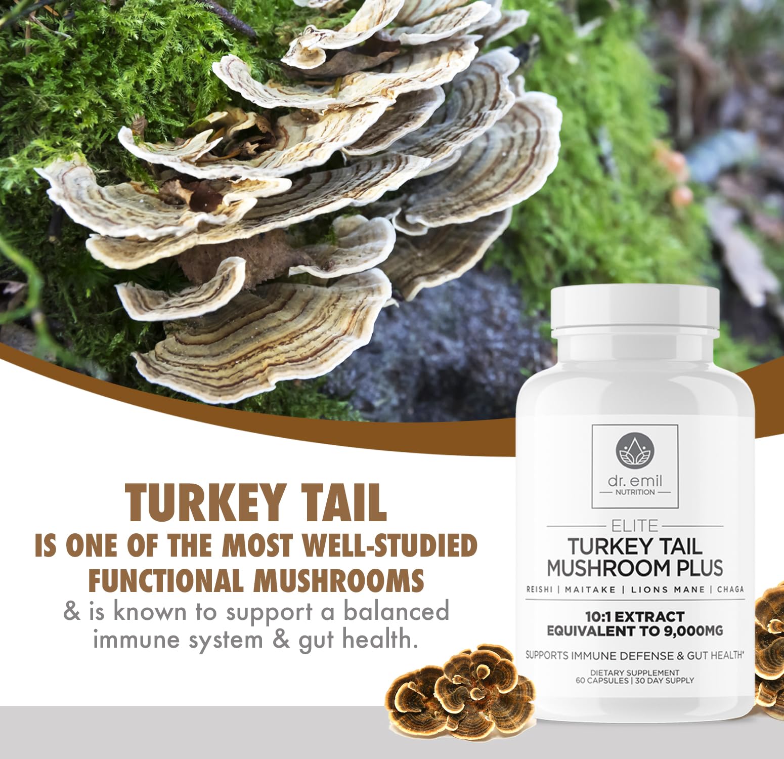 Lions Mane, Chaga, Maitake and Reishi blend capsules on packaging for focus and energy.