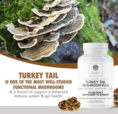 Lions Mane, Chaga, Maitake and Reishi blend capsules on packaging for focus and energy.