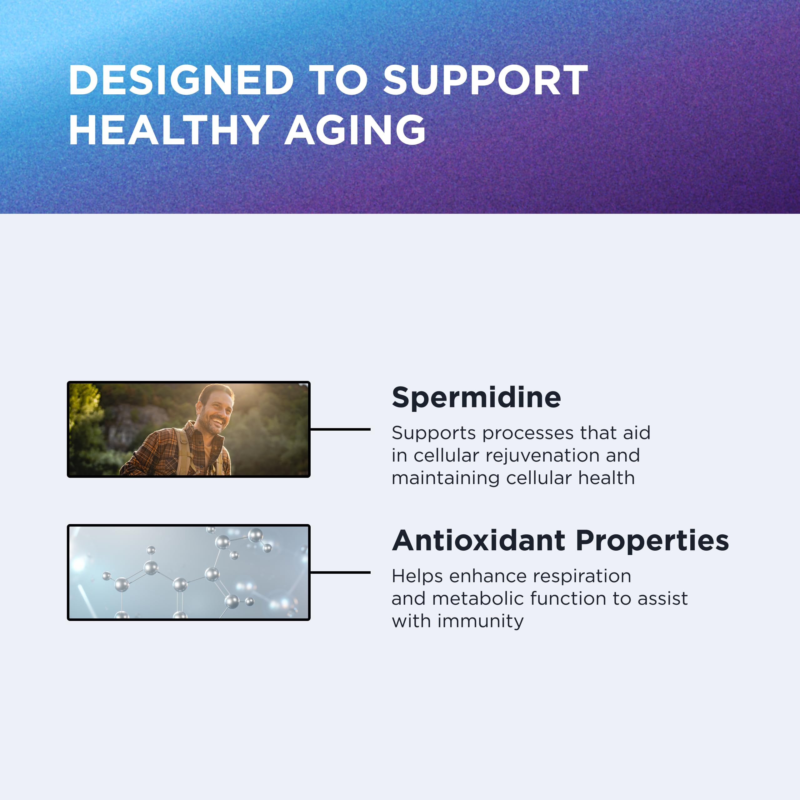 Tablets outside the bottle showing easy daily dosage of Spermidine 5mg.