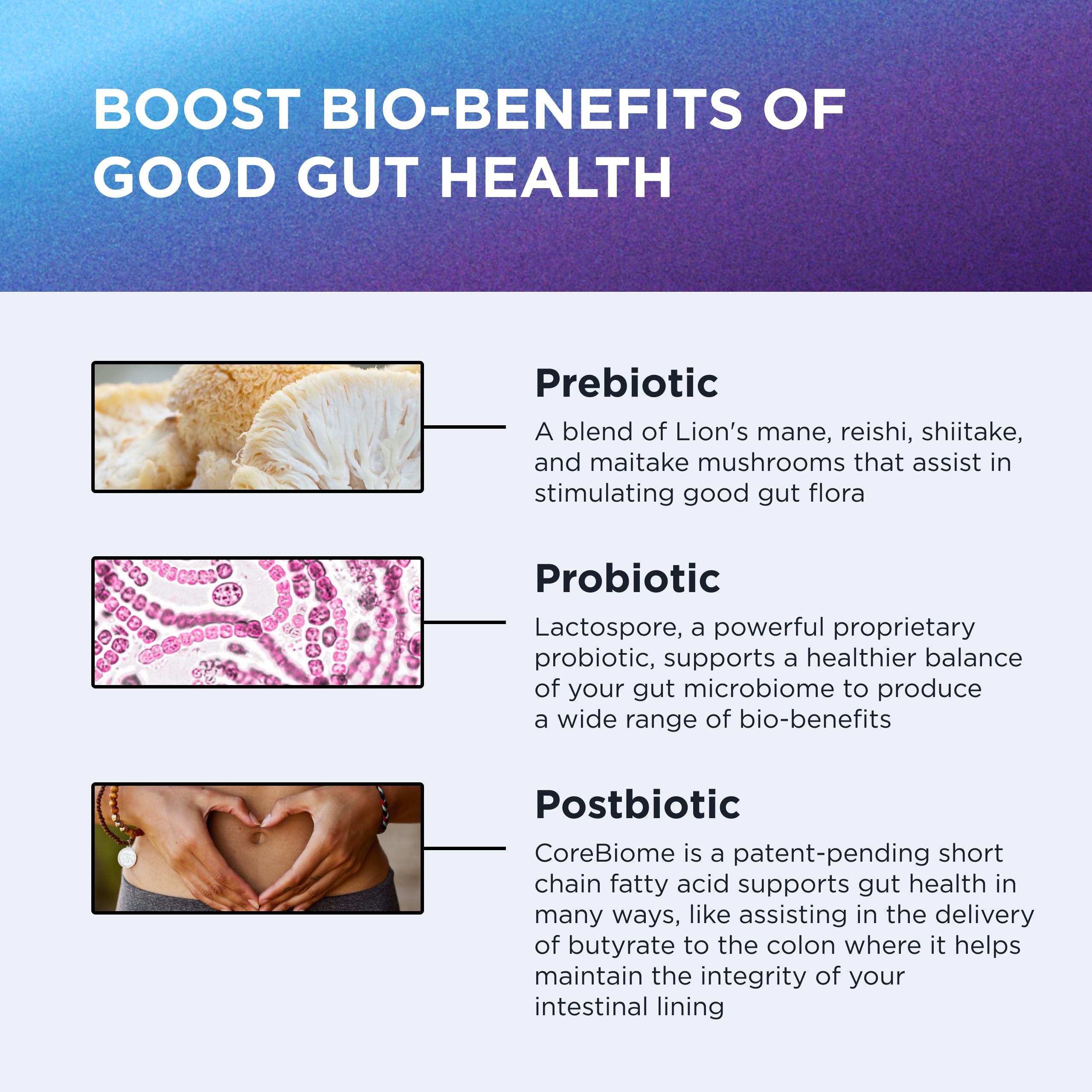 DR. EMIL NUTRITION Total Gut Health Complex postbiotic CoreBiome promotes gut environment health