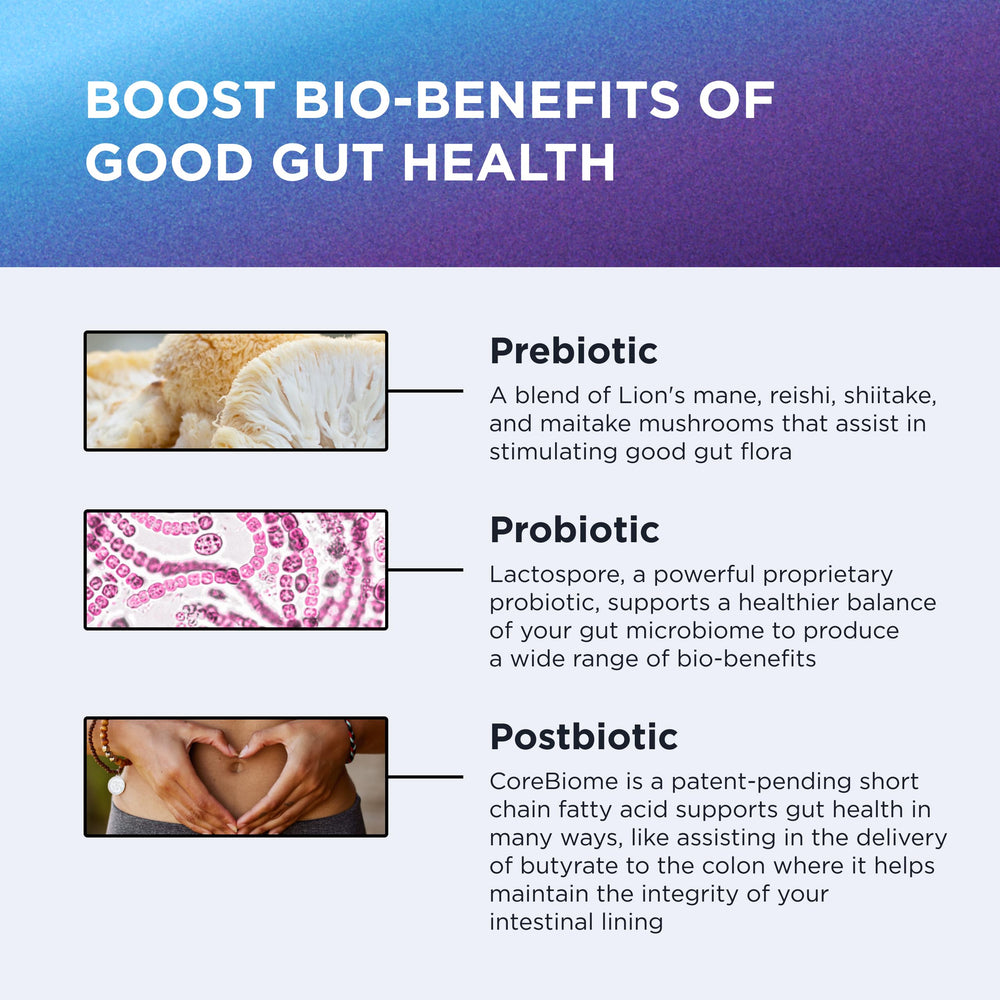 DR. EMIL NUTRITION Total Gut Health Complex postbiotic CoreBiome promotes gut environment health