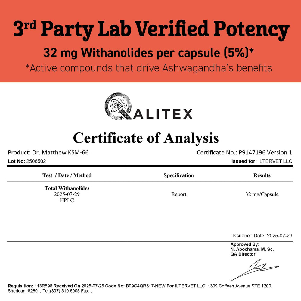 Dr. Matthew KSM66 bottle on white background for everyday supplementation