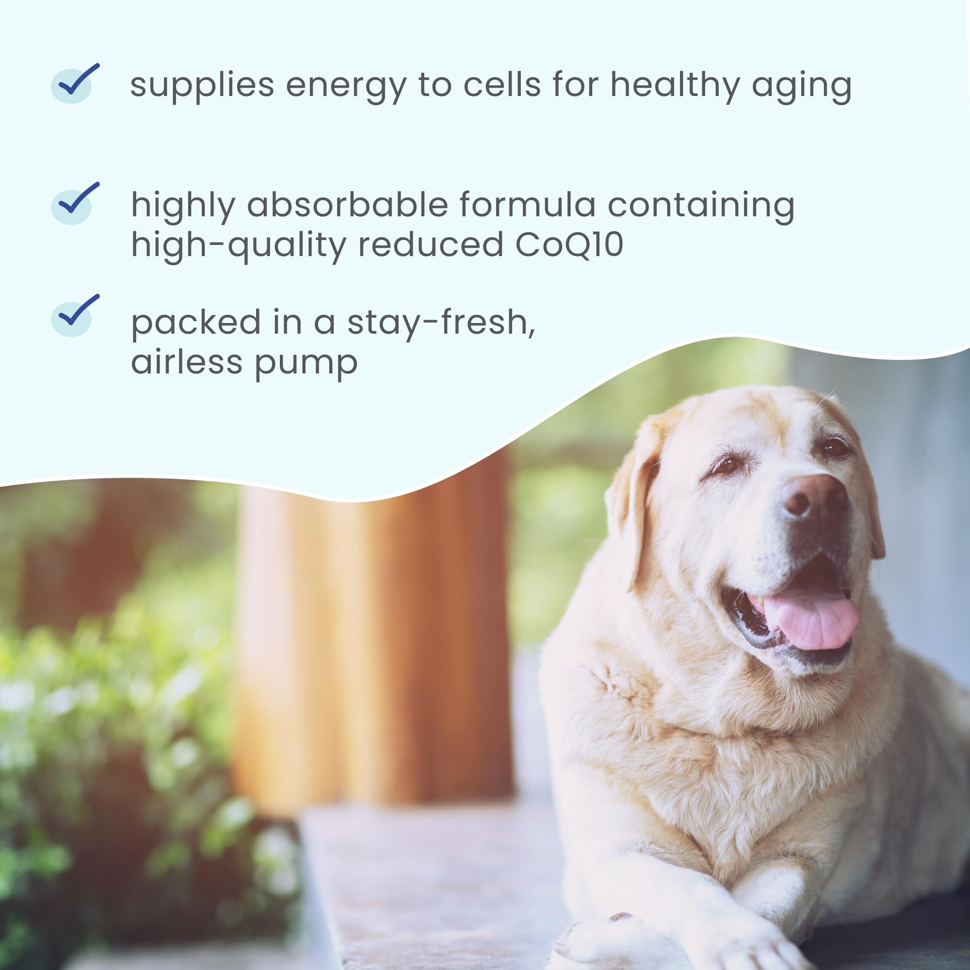 A veterinarian-formulated drop pump enabling mess-free administration.