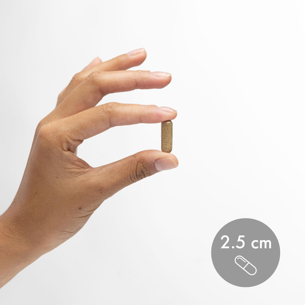 Compact tablet form of Dr. Mercola Biothin Berberine with Chromium for easy routine