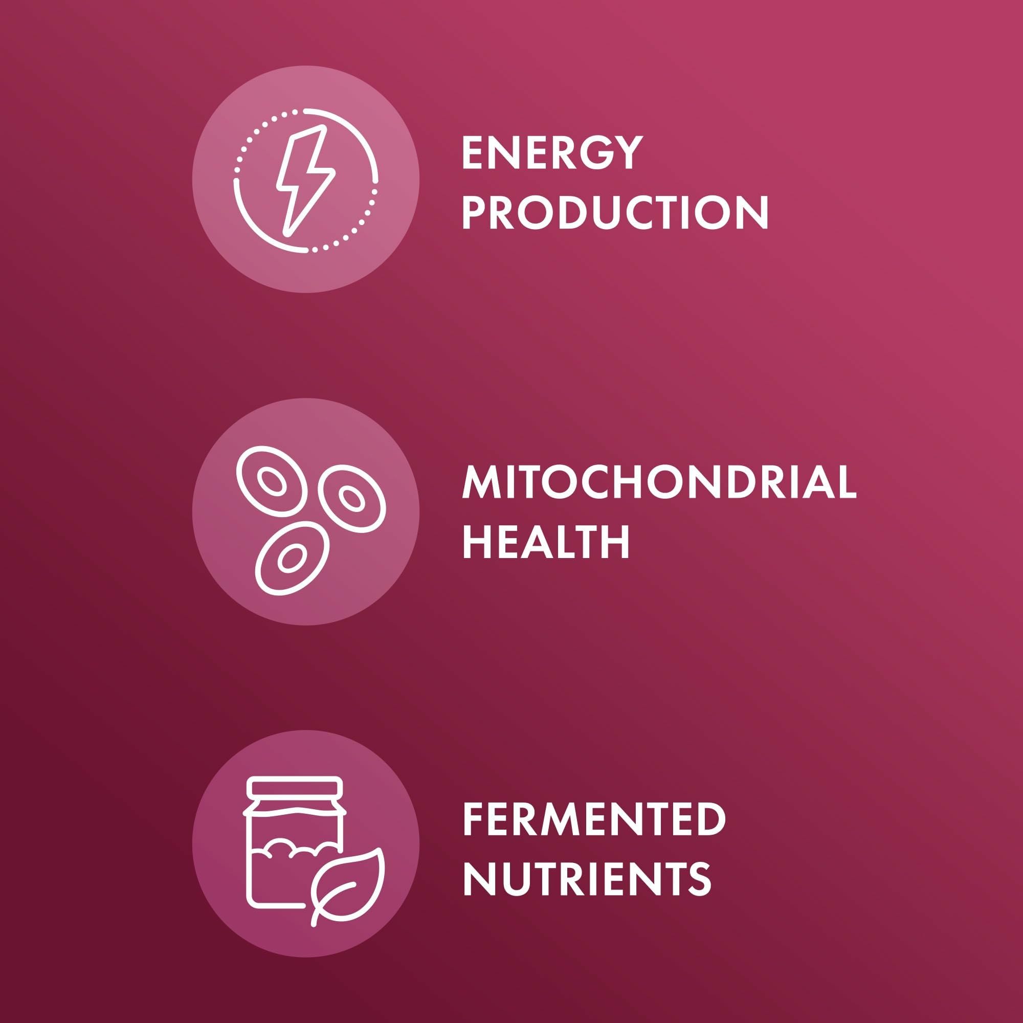Fermentation process image showing pre-digested beets for better absorption