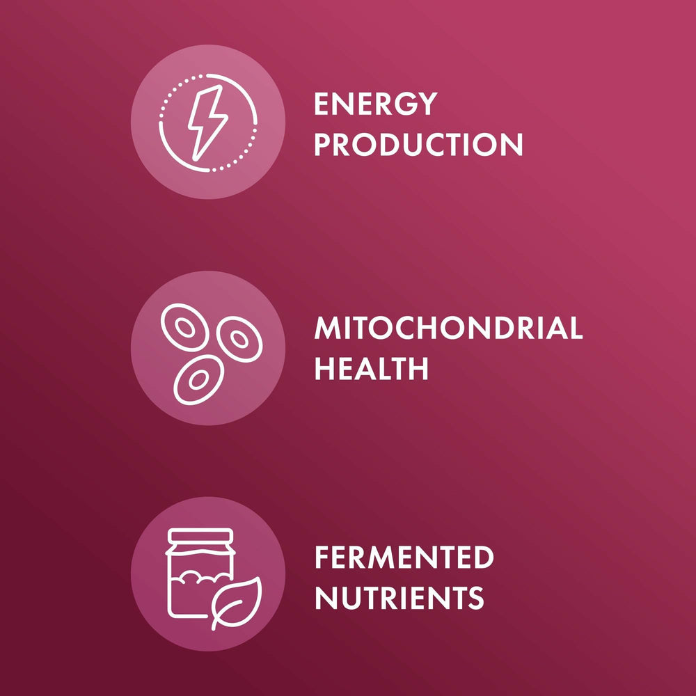 Fermentation process image showing pre-digested beets for better absorption