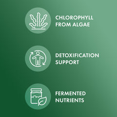 Dr. Mercola Fermented Chlorella label detail highlighting NSF certification