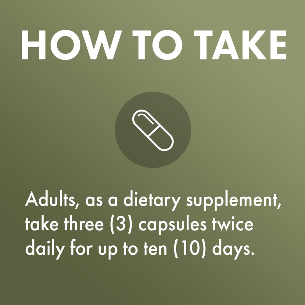 Dr. Mercola Herbal Immune Support capsules in a glass jar for daily ritual