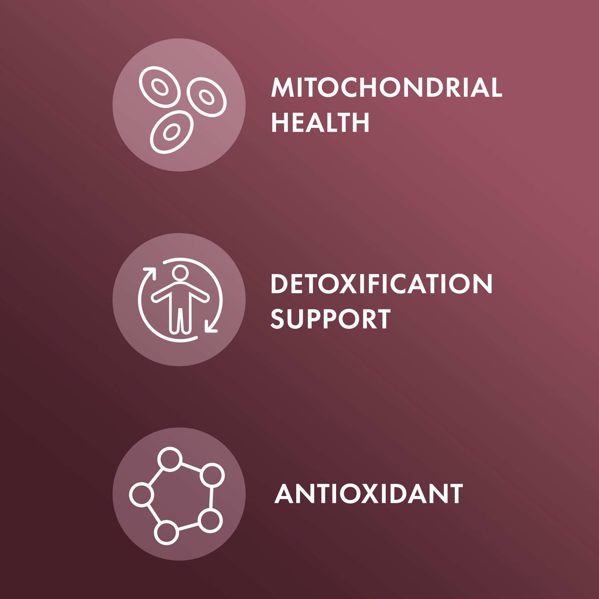 Milk Thistle seed extract in the formula supports liver routines.