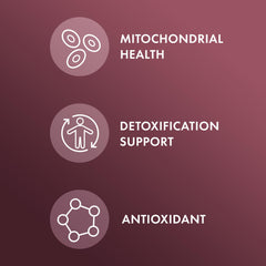 Milk Thistle seed extract in the formula supports liver routines.