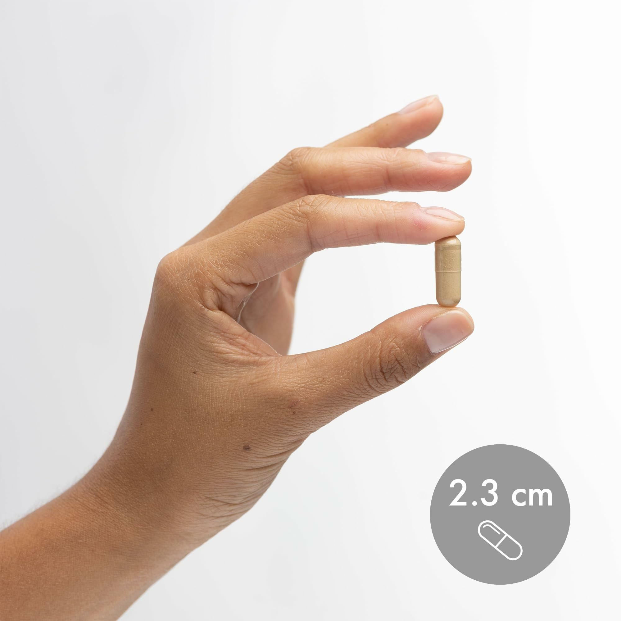 Solid-State fermentation on oats used by Dr. Mercola for fermentation