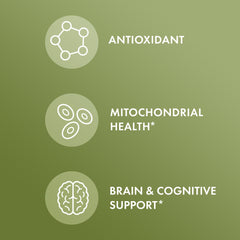 Vegetarian capsules by Dr. Mercola free from dairy and gluten.
