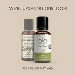 Fresh Melaleuca leaves steam-distilled for authentic aroma.