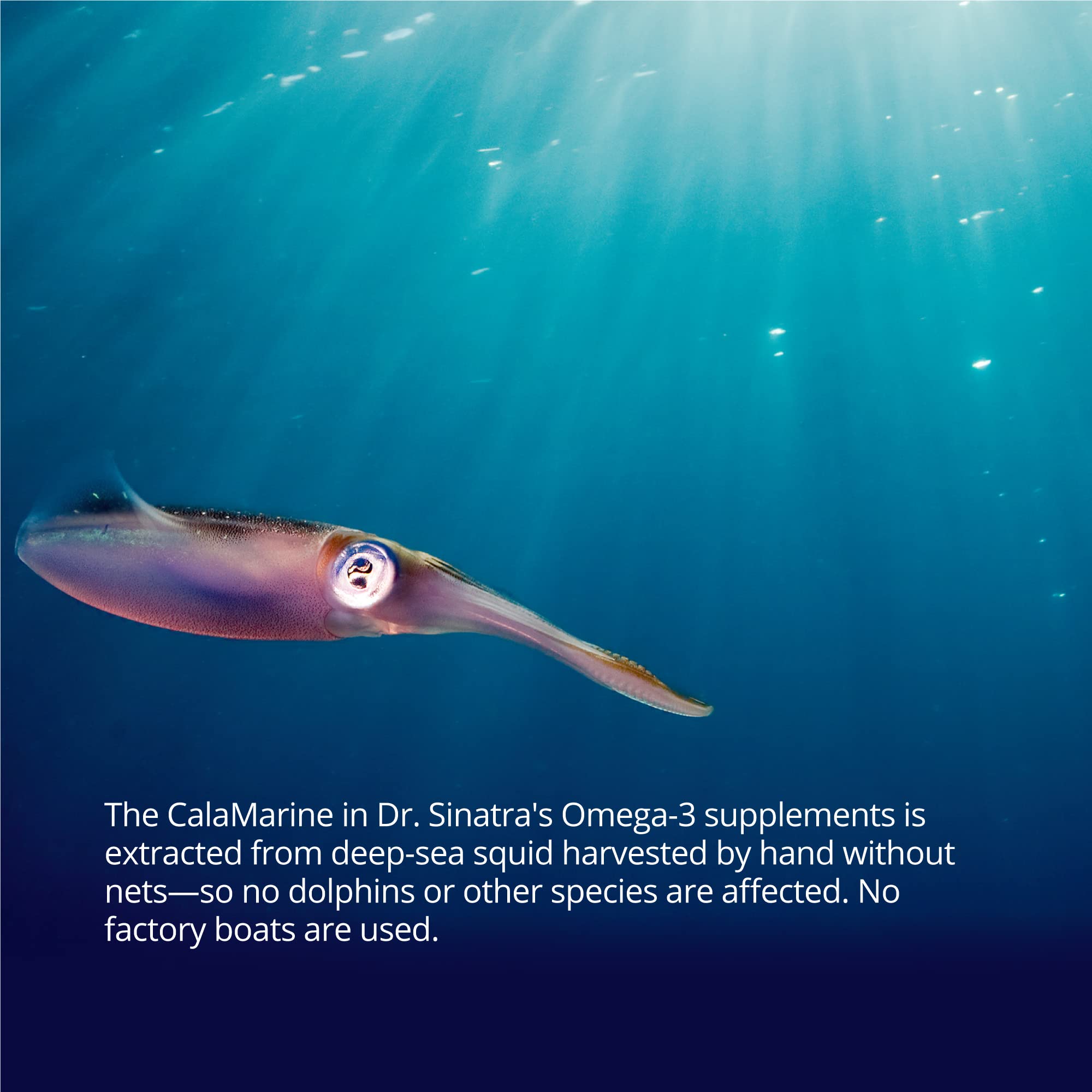 Dr. Sinatra CalaMarine Norwegian facility processing for clean, digestible omega-3.