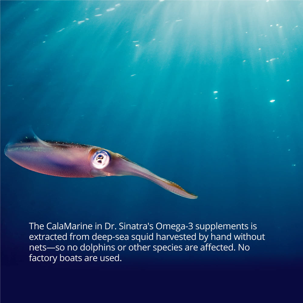 Dr. Sinatra CalaMarine Norwegian facility processing for clean, digestible omega-3.