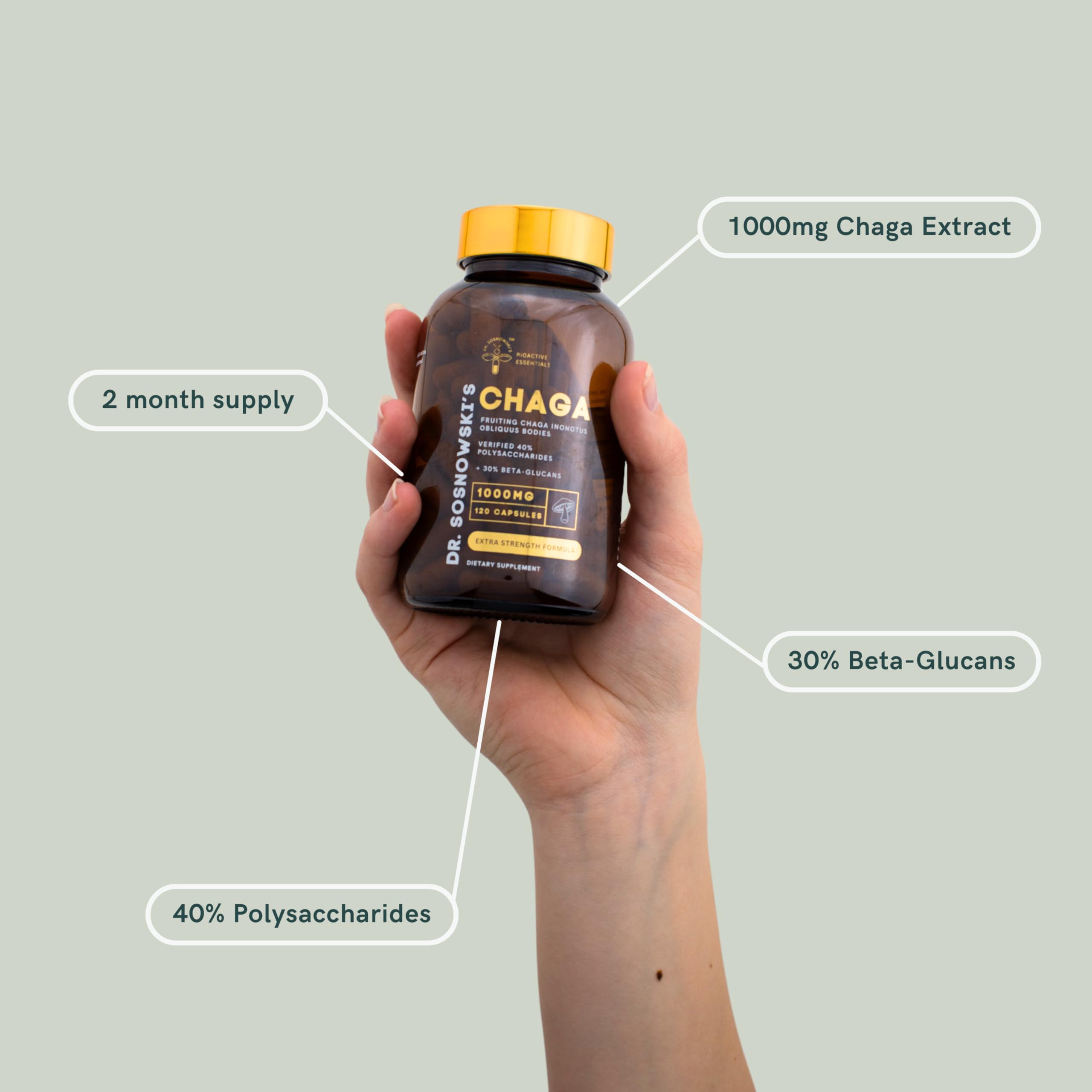 Dr Sosnowski's BioActive Chaga capsules closeup for easy daily use