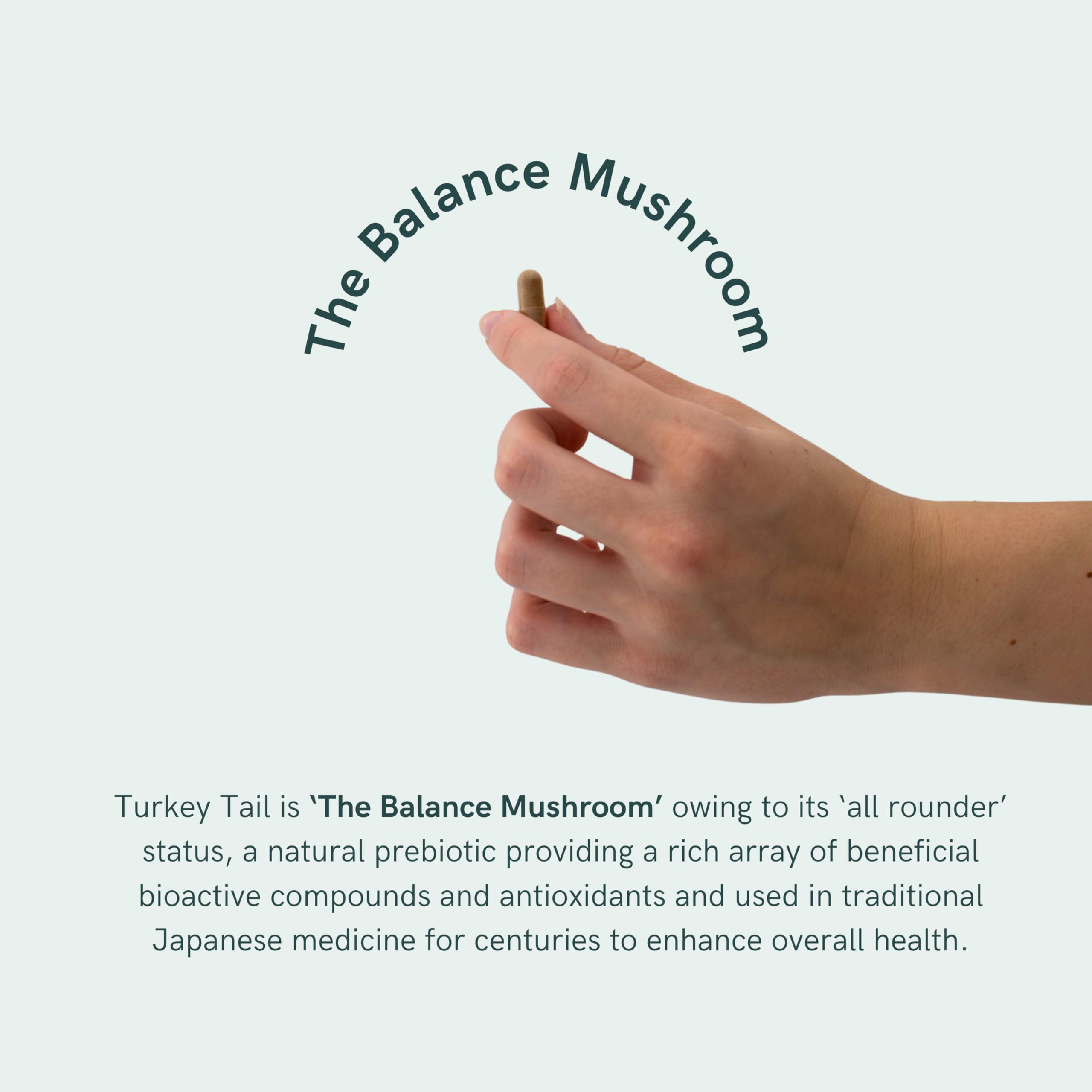 Packaging close-up of Dr Sosnowski's BioActive Turkey Tail 1000 mg per serving