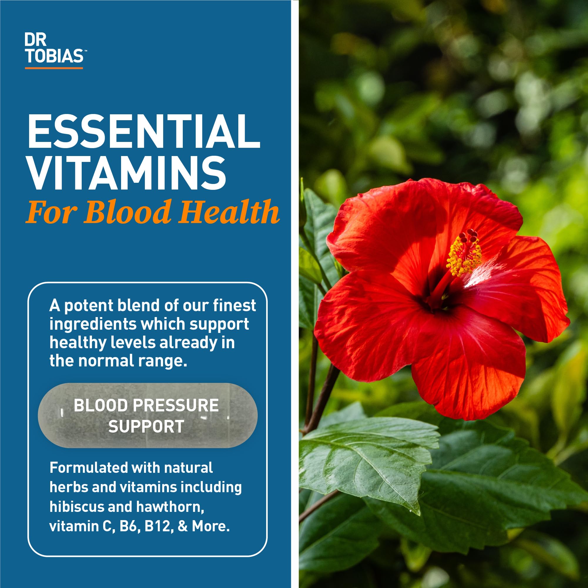 Dr. Tobias Blood Pressure Support hibiscus flower highlights natural wellness blend.