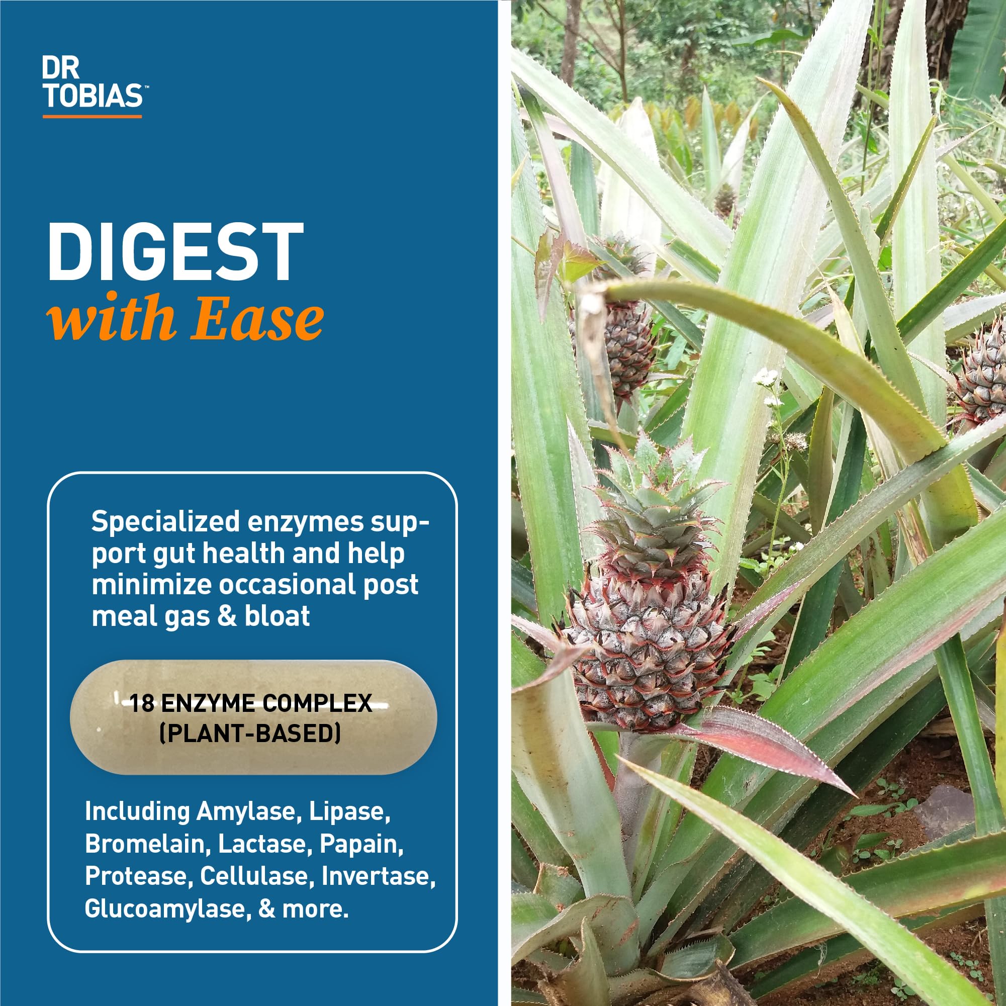 Close-up of the Dr. Tobias Digestive Enzymes label highlighting the enzyme blend