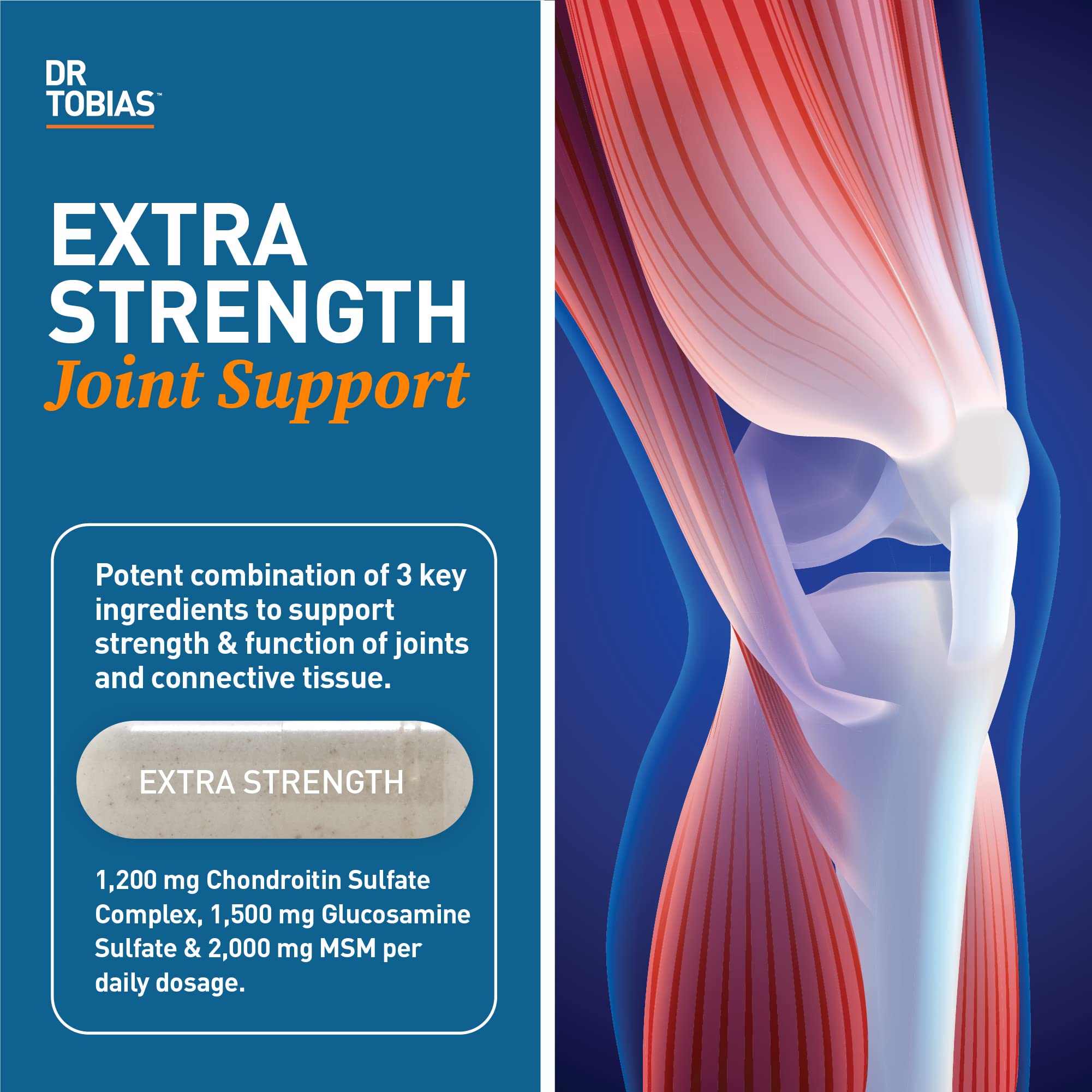 Dr. Tobias Joint Support bottle label highlights glucosamine, chondroitin, MSM for joint support.