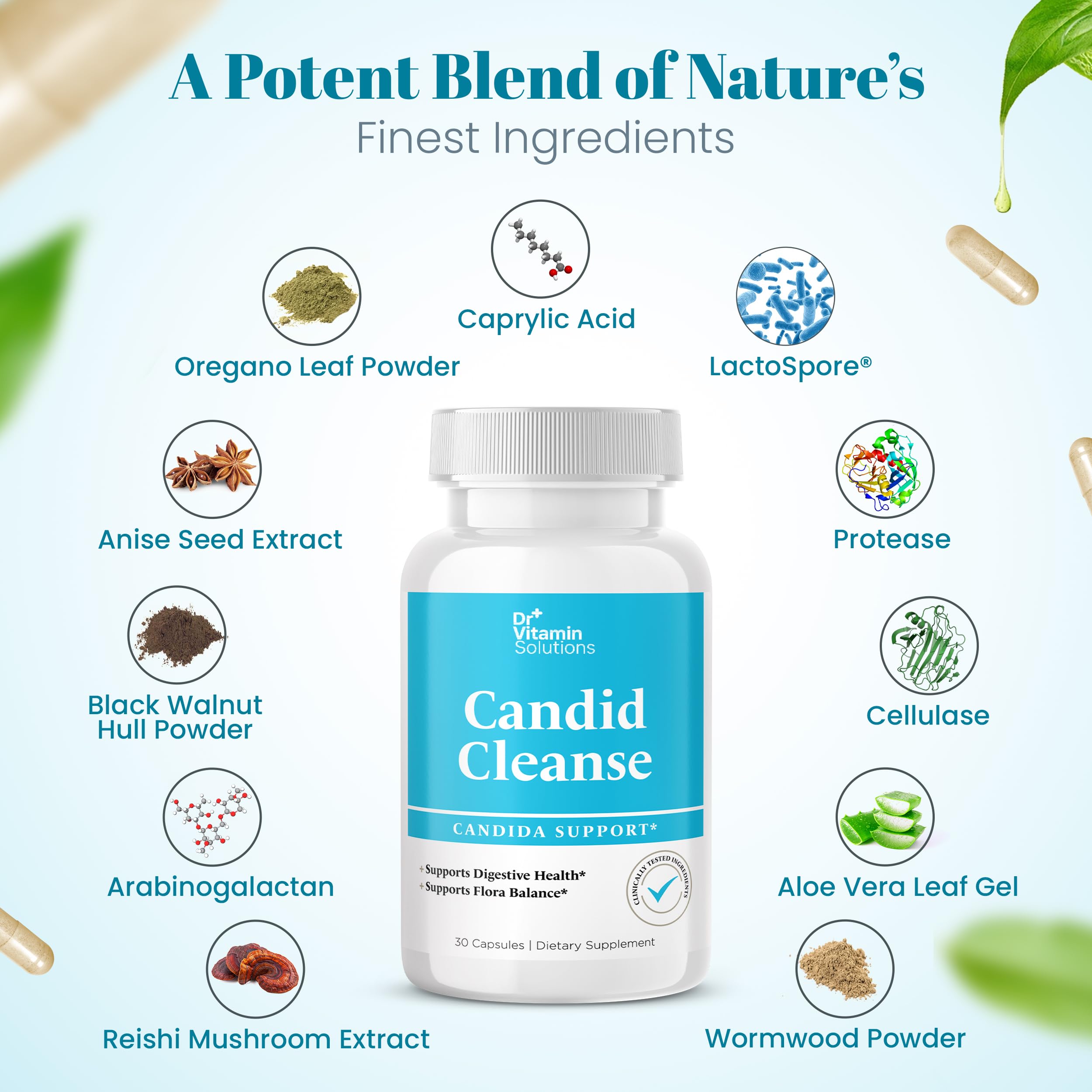 DR VITAMIN SOLUTIONS Candid Cleanse label details featuring oregano leaf and caprylic acid.