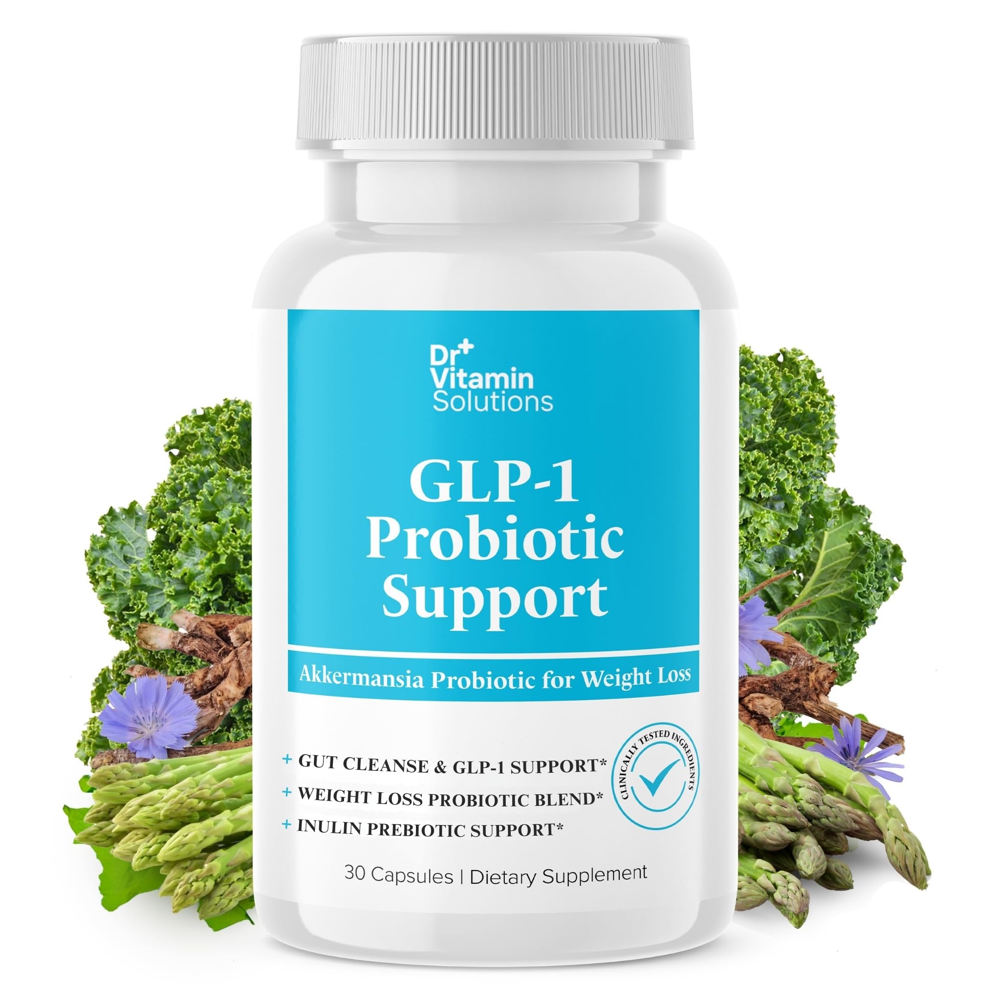 DR VITAMIN SOLUTIONS GLP-1 Probiotic Support bottle label showing product branding for gut wellness