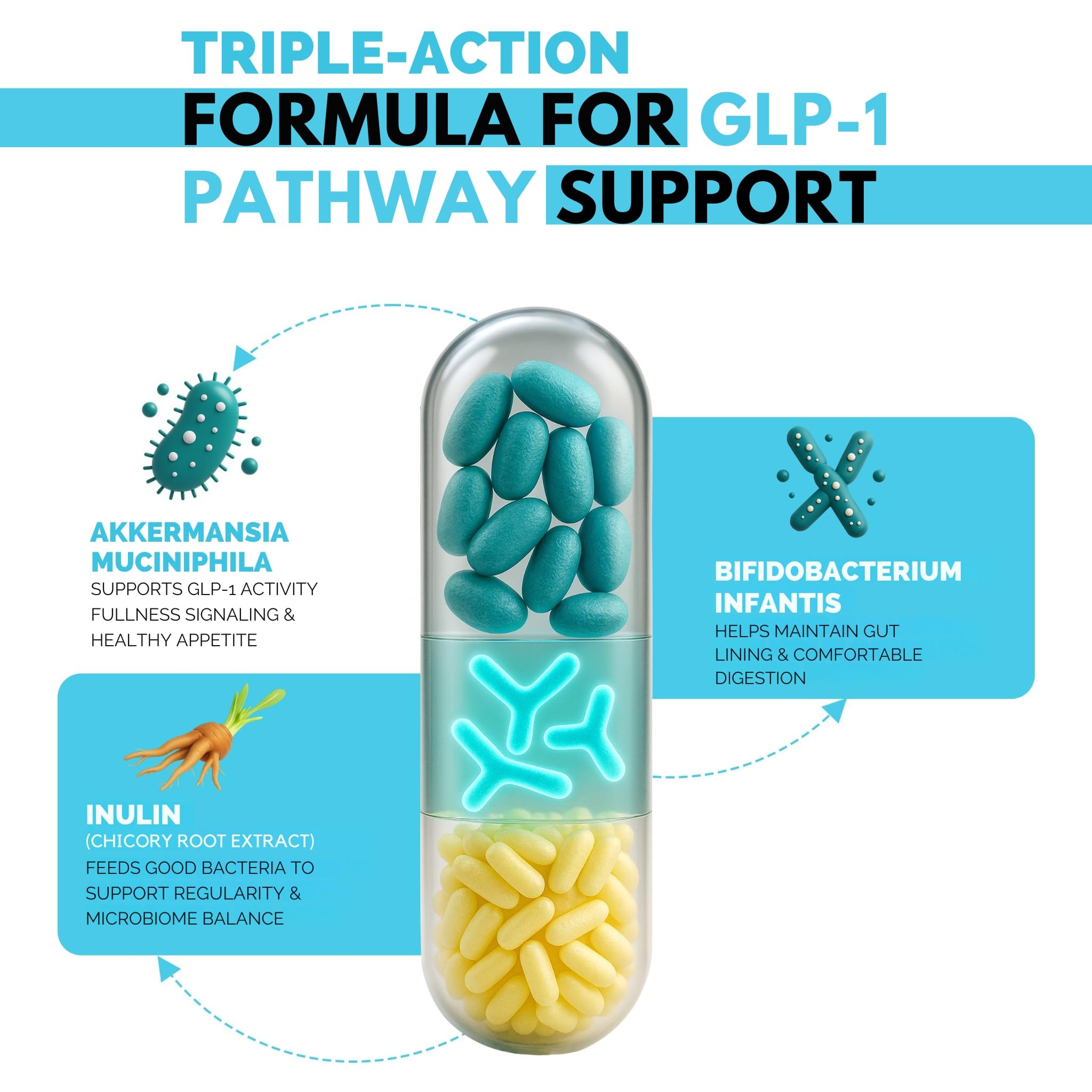 DR VITAMIN SOLUTIONS GLP-1 Probiotic Support gut chart showing fullness cues