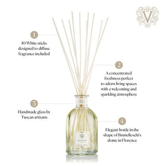 Dr. Vranjes Ginger Lime sticks show fragrance diffusion in the space.