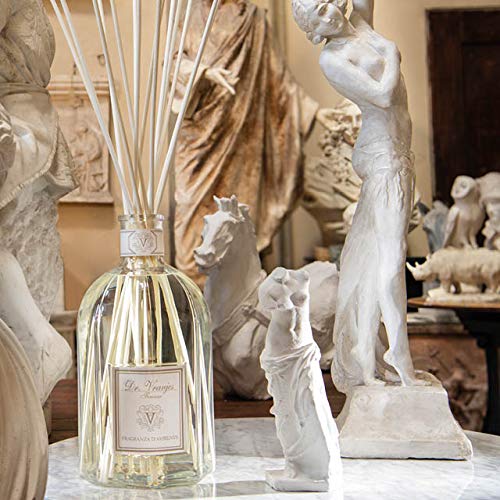 Dr. Vranjes Magnolia Orchidea diffuser packaging conveys luxury gifting potential.