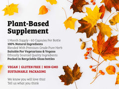 DR WAKDE’S Carom Seed Capsules packaging close-up highlighting plant-based, additive-free supplement