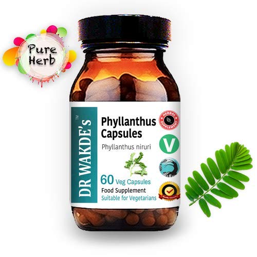 DR WAKDE'S Phyllanthus capsules close-up highlights pure herb and additive-free formula.