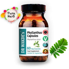 DR WAKDE'S Phyllanthus capsules close-up highlights pure herb and additive-free formula.