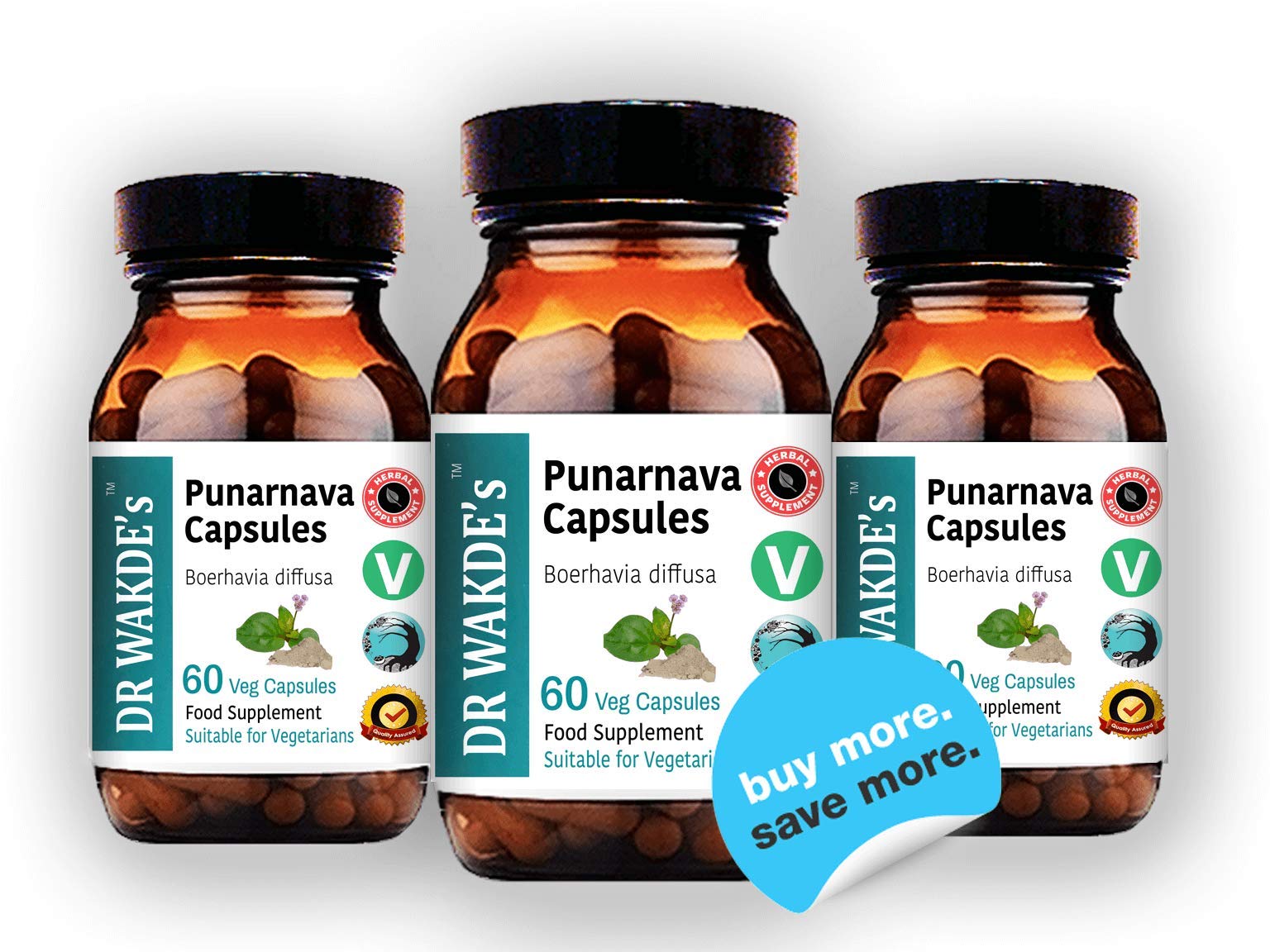 DR WAKDE'S Punarnava root powder, earthy aroma and heritage