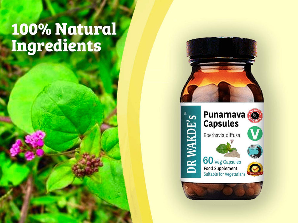 DR WAKDE'S Punarnava tea prep, open capsule for herbal tea