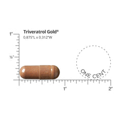 DR.WHITAKER Triveratrol Gold with Meriva Curcumin, focused on cellular health.