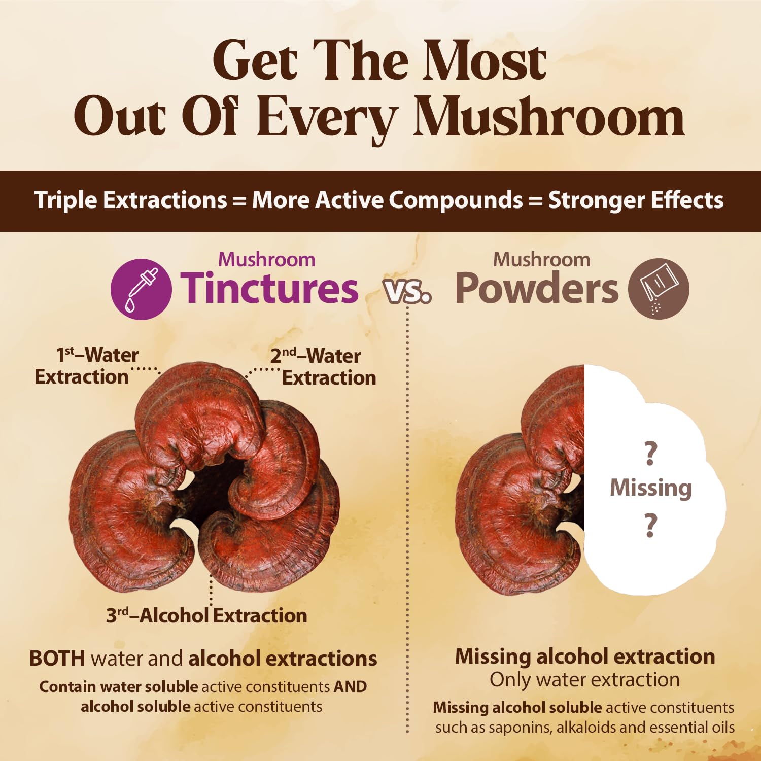 Dragon Herbs liver-support tincture drops for everyday wellbeing.