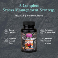Dragon Herbs Tao in a Bottle capsules close-up highlights product quality and form