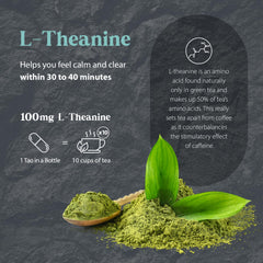 Dragon Herbs Tao in a Bottle pour of capsules indicates daily use