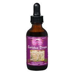 Dragon Herbs Turkey Tail drops bottle-pour: fast-dissolving tincture for daily use.