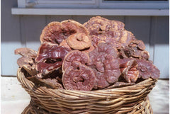 Dragon Herbs Wild Red Reishi Drops packaging shows 100% fruiting bodies.