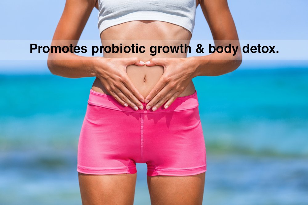 Saccharomyces boulardii in Nexabiotic aids resilience during digestive fluctuations.