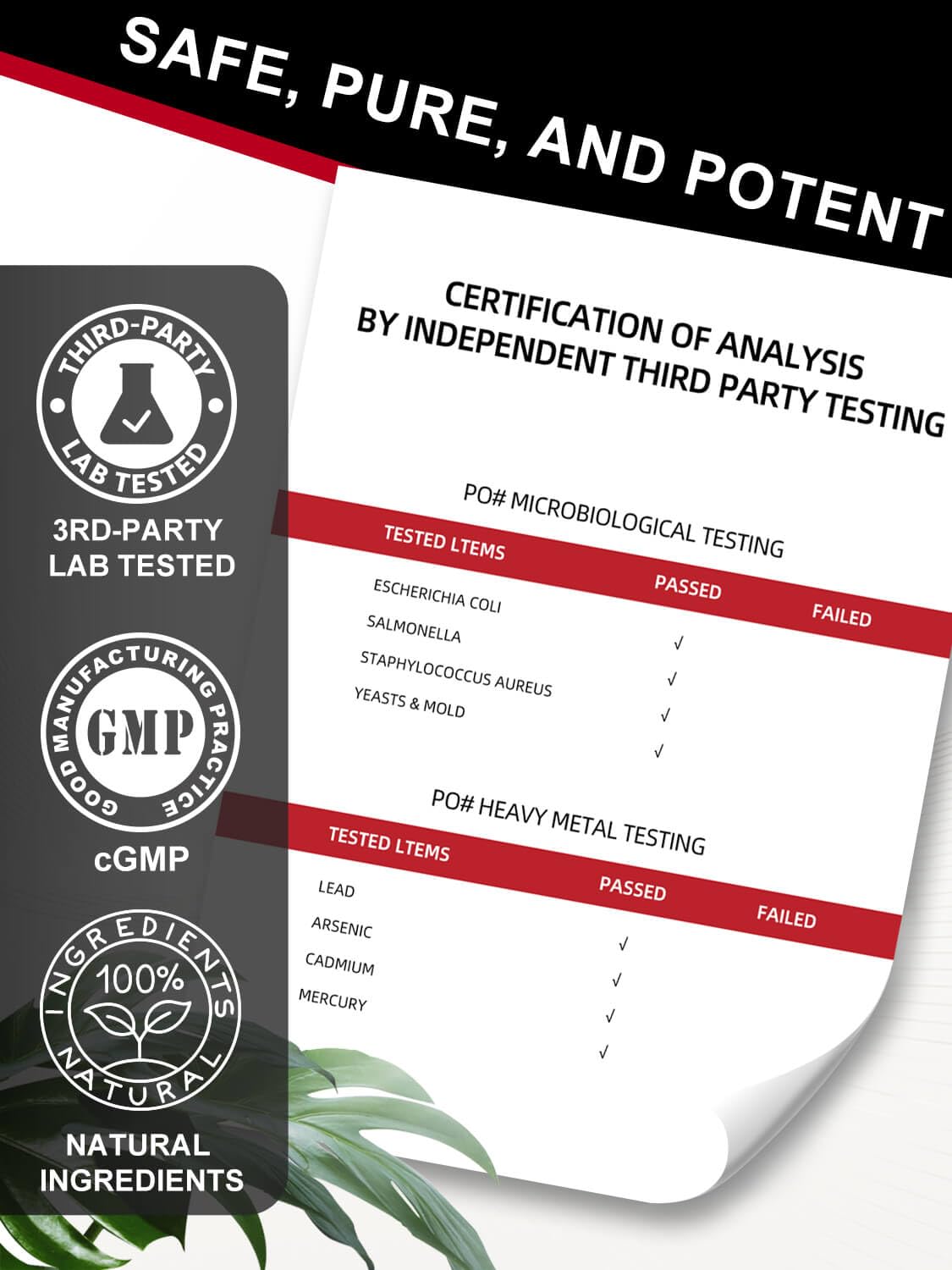 DRFOSTER CoQ10 bottle in a morning routine setting