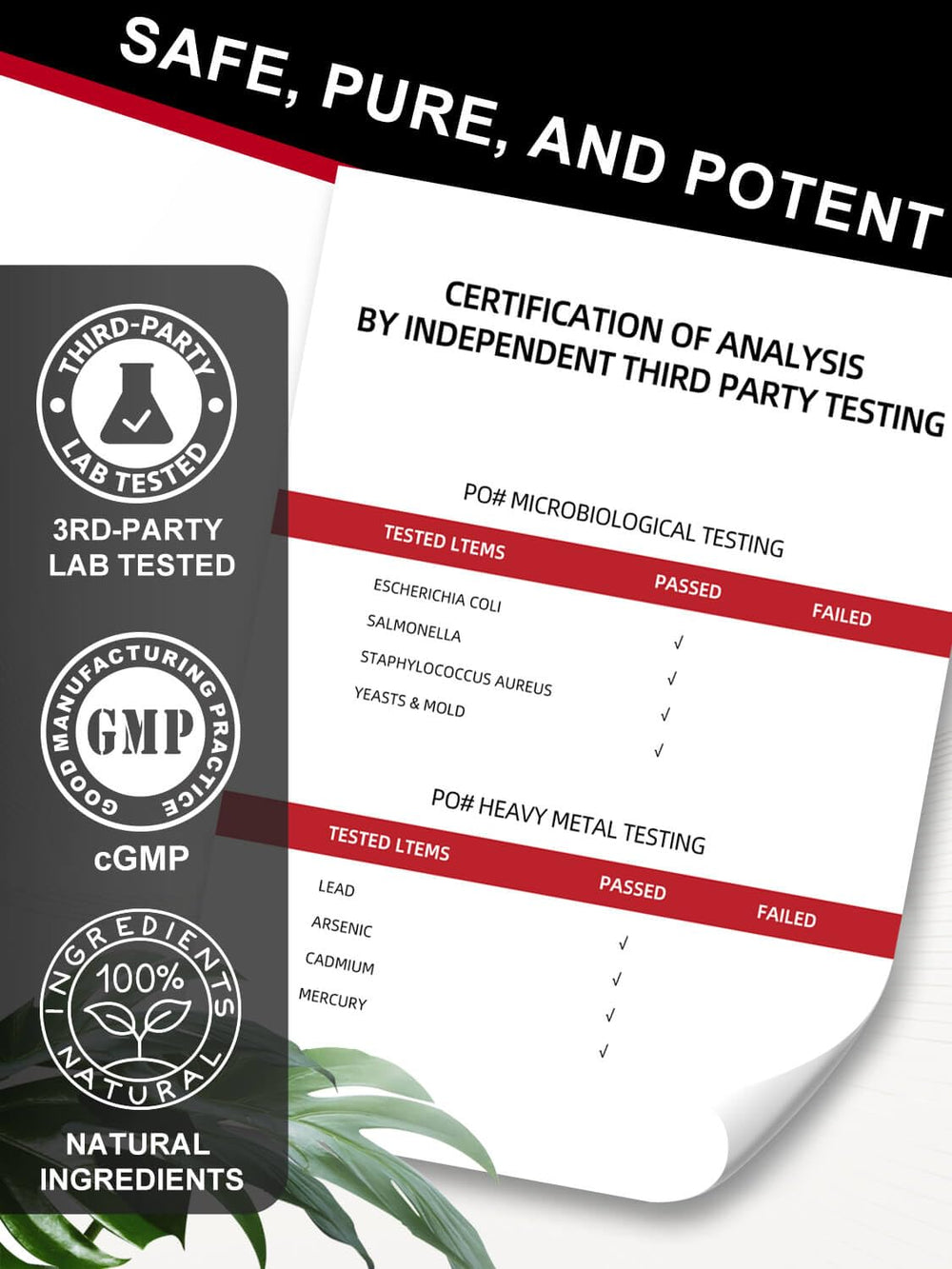 DRFOSTER CoQ10 bottle in a morning routine setting