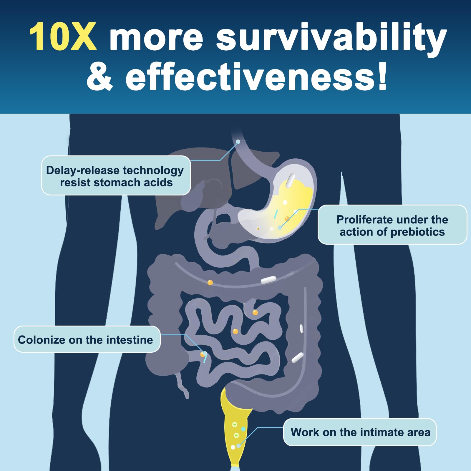 DRFOSTER immune-support label emphasizes enzyme and vitamin synergy