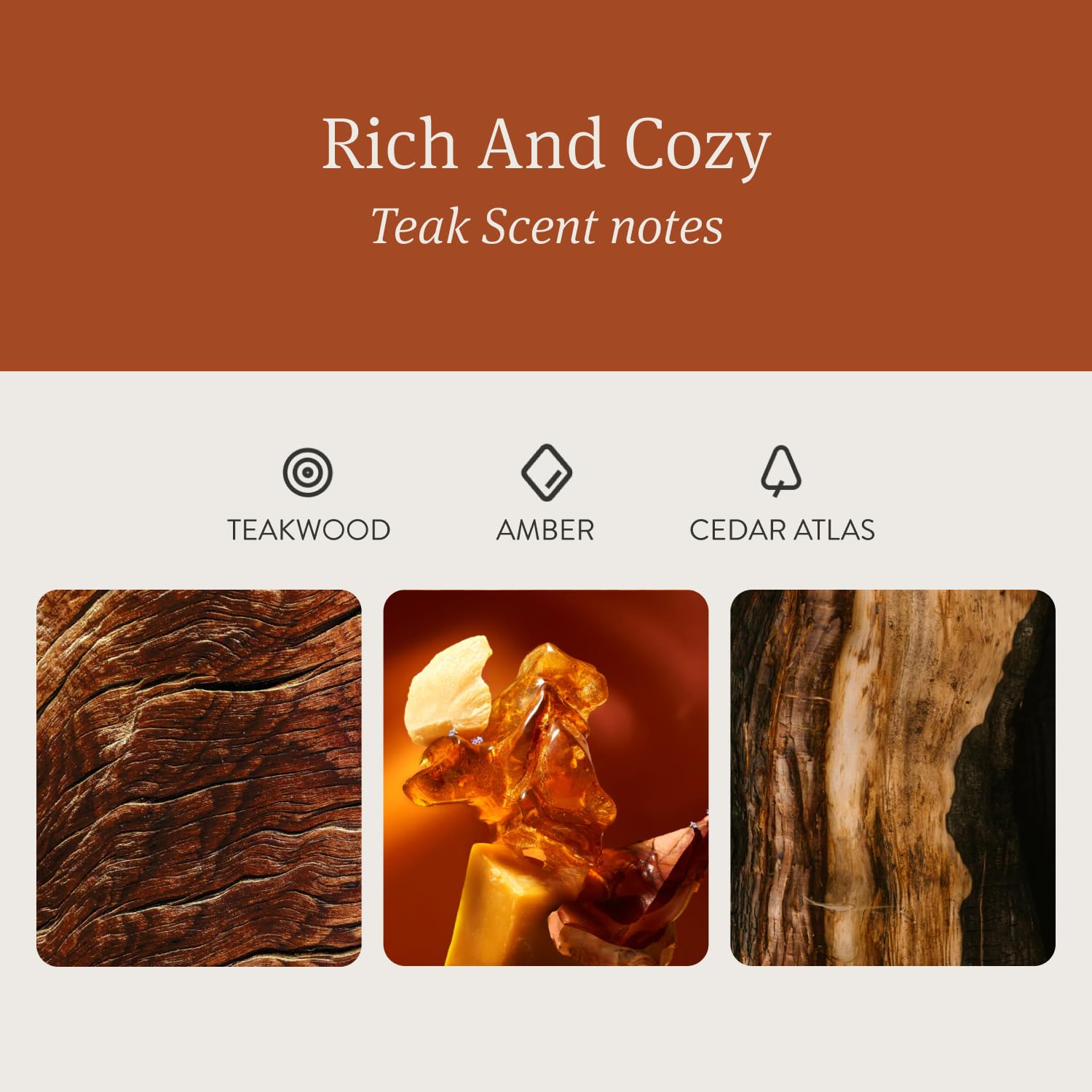 Drift teak candle decor scene on shelf.